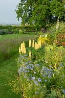 Nigella damascena compliments the lemon lupinus in the border. View of the crochet lawn.