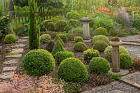 An interesting bed of contrasting shapes with Buxus topiary.