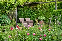 Rosa 'La Rose de Molinard' in herbaceous border in front of relaxing area - Hetty van Baalen garden, Netherlands