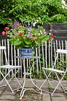 Floral display of early summer flowers on the table. Hetty van Baalen garden, The Netherlands