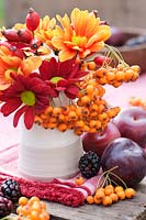 Autumnal display with Chrysanthemums in reds, yellows and oranges, rosehips and orange Pyracantha berries on a table with plums and blackberries