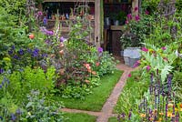 The Anneka Rice Colour Cutting Garden. Radio 2 Feel Good Gardens - Border planted with Astrantia, Borage, Cynara, Dahlias, Cosmos bipinnatus 'Dazzler' and Geum 'Totally Tangerine' with blue Irises, Poppies, Roses and Salvias - RHS Chelsea Flower Show 2017