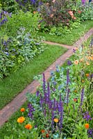 The Anneka Rice Colour Cutting Garden - Red brick pathway  and grass between flowerbeds with Salvis, Geum and Marigolds - RHS Chelsea Flower Show 2017