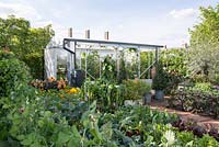 The Chris Evans Taste Garden - Brick path leading to an open-sided greenhouse, vegetable garden with Sweetcorn 'Sundance', Courgette 'Golden Griller', Kale, Leeks and Rainbow Chard - RHS Chelsea Flower Show 2017