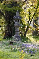 A stone temple lanterns surrounded by spring flowers in the Japanese garden at Heale House, Middle Woodford, Wiltshire