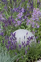 Concrete sphere in border with Lavandula angustifolia - Living Landscapes: Healing Urban Garden - RHS Hampton Court Palace Flower Show 2015