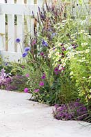 Wildflower planting edging modern paving backed by white picket fence - planting includes Tanacetum, Geranium, Herbs and grasses - RHS Hampton Court Flower Show 2015.