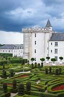 The knot garden and parterre with yew hedging and topiary - Chateau Villandry, Loire Valley, France