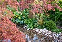 Detail of Japanese style garden with Acer palmatum, ferns and shrubs by stony edge of pons- 'At One With...A Meditation Garden' - Howle Hill Nursery, RHS Malvern Spring Festival 2017