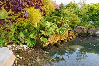 Japanese style garden with Acer palmatum, bamboo and Gunnera manicata surrounding large pond - 'At One With...A Meditation Garden' - Howle Hill Nursery, RHS Malvern Spring Festival 2017 