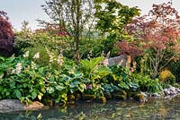 Japanese style garden with Acer palmatum,  Rodgersia aesculifolia and Gunnera manicata - 'At One With...A Meditation Garden' - Howle Hill Nursery, RHS Malvern Spring Festival 2017
