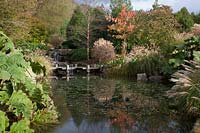 The middle pond with Japanese zig-zag bridge. Gunnera, Miscanthus, Prunus,and Pennesetum alopecuroides - Brightling Down Farm