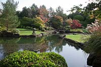 A Japanese style garden  with pond, waterfall,  stone outcrops, Acers, Pinus, cloud pruned Box, stone lantern ornament, and Miscanthus - Brightling Down Farm