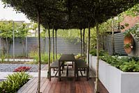Shaded seating area with umbrella pleached Photinia x fraseri 'Red Robin' 