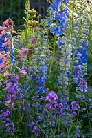 Planting of Salvia, Penstemon and Delphiniums in pinks and blues - BBC Gardener's World Live, Birmingham 2017 -The Anniversary Garden: A Brief History of Modern Gardens - Designer: Prof. David Stevens