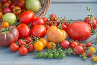 Mixed Tomatoes