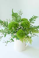 Green Sweet Williams in an arrangement with fern leaves.