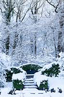 The Wild Garden. Hedges of Box - Buxus sempervirens surrounding seat. View to the wood behind. Garden in snow. Veddw House Garden, Monmouthshire, Wales, UK. The garden was created since 1987 by garden writer Anne Wareham and her husband, photographer Charles Hawes. The garden opens to regularly to the public in the summer months.