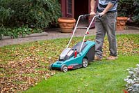 Gathering autumn leaves using a rechargeable electric mower, October