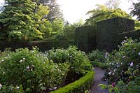 The Rose garden at Dyffryn gardens