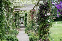 Stone pergola with Rosa and Clematis at West Dean Gardens, West Sussex, June