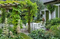 Courtyard with pergola, summer borders and patio. Rodgersia aesculifolia, Hosta, Clematis.  Dina Deferme garden