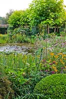 Pond surrounded by perennial border. Echinacea purpurea, Rudbeckia fulgida var. sullivantii 'Goldsturm', Catalpa bignonioides 'Aurea', box topiary, Sedum and wild carrots.