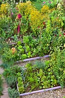 Mixed planting of flowers, vegetables and herbs.