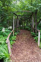 Mulch footpath through Thuja - Cedar tree arbour bordered by Aruncus dioicus in early summer. Le Jardin de Francois garden, Quebec, Canada. 