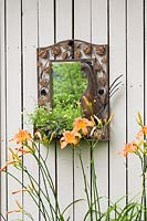 Hemerocallis and a decorative mirror with purple Lobelia, yellow Sanvitalia and Creeping Zinnia on a grey wooden planked wall in Summer. Quebec, Canada. 