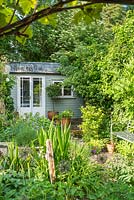 Small town garden in spring with ornamental garden studio, bay tree in container. May