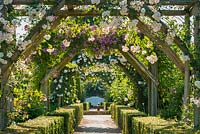 View along rose covered pergola. June