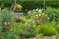Mixed border in country garden. Rosa 'Lady Emma Hamilton', Buphthalmum salicifolium, santolina, foxgloves, achillea. June