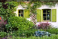 Border of perennials and hydrangeas in early summer. Dina Deferme garden