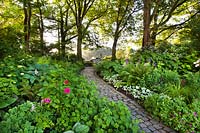 Shady borders with a path leading through. Dina Deferme garden, June.