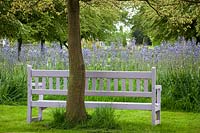 Painted lilac bench in front of camassias at Pettifers