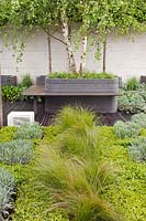 Border with Stipa tenuissima and Euphorbia Silver Swan. Acer campestre with bench seat and decking, Rooftop Workplace of Tomorrow, RHS Chelsea 2012, May.