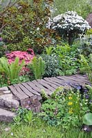 Rustic wooden footbridge with acid-loving plants, Furzey Gardens, RHS Chelsea 2012, May