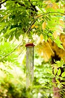 Wind chime hanging from Wisteria, Milan. Italy.