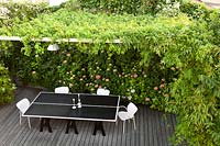 Dining area, on lower terrace with Hydrangea and climbing plants. Milan. Italy, May. 