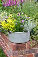 Aluminium preserving pan planted with herbs. In the middle, Viola tricolour, heartsease, encircled by Chives, golden oregano, thyme, sorrel, sage and curry plant.