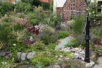 An old pump rests in a dry stream bed planted with hosta, penstemon, linaria, fleabane, salvias and grasses.