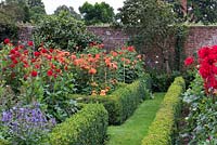 In a box edged formal parterre, on the left, red Dahlia 'Salsa': beyond Dahlia 'Karma Fiesta'