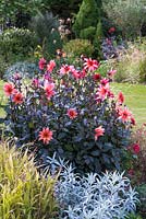 Dahlia 'Waltzing Mathilda', Artemisia ludoviciana 'Valerie Finnis', Chasmanthium latifolium, September.