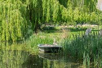 A large pond with reeds, small boat and large willow tree.