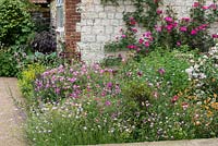A bed of Roses, Thalictrum, Cistus, Geum and Scabious.