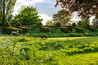 Clipped topiary Yew hedges and buttresses looking onto a wildflower meadow and lawn at Wardington Manor, Oxfordshire. 