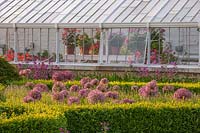 Box edged parterre with Allium christophii and glasshouse behind - Arundel Castle, West Sussex, June