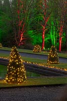 Water terrace with Christmas trees lit up at night, Blenheim Palace, Oxfordshire, November.