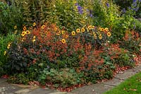 Border with Aconitums, Dahlia 'Moonfire', Salvia Elegans  'Honey Melon' - Bourton House Garden, Gloucestershire
